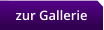 zur Gallerie