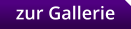zur Gallerie