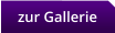 zur Gallerie
